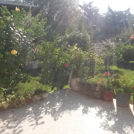 Daire Merkez Mustakil Bahce Kati Daire 2+1 *