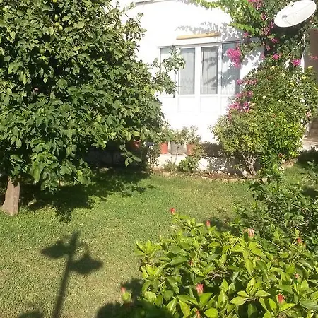 Merkez Mustakil Bahce Kati Daire 2+1 Daire