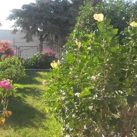 Apartment Merkez Mustakil Bahce Kati Daire 2+1